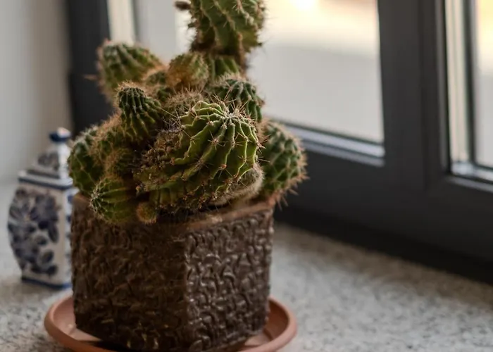 Old Town - Bajor - Self Check-in And Parking * Kaunas